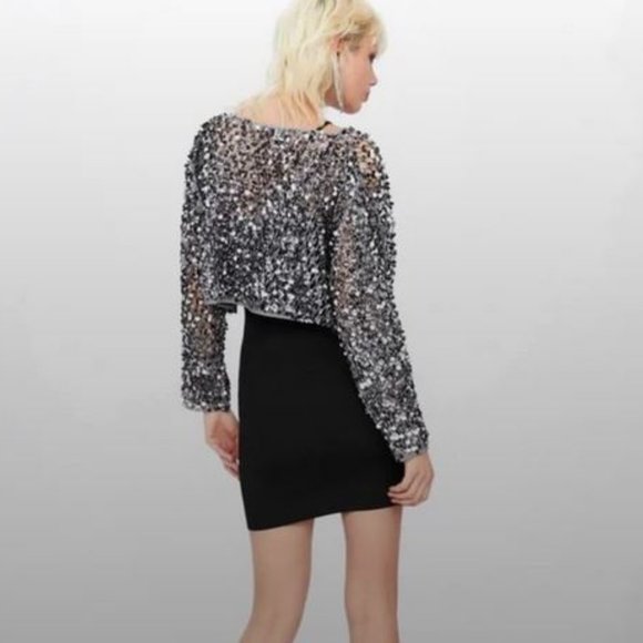 Zara Limited Edition Gray Sequined Mesh Cropped Top, NWT, S - Picture 15 of 16